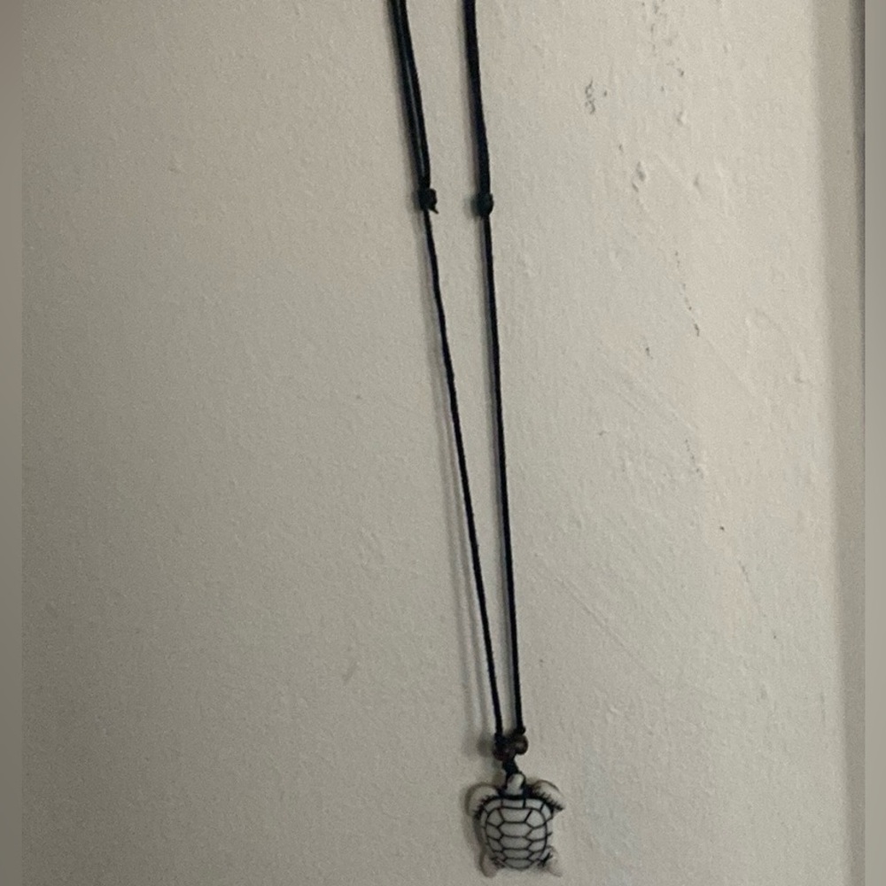 Sea turtle necklace from Seaworld amusement park